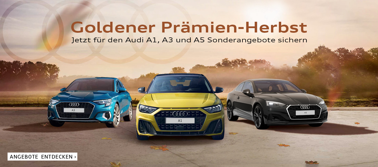 Audi AE-Prämie