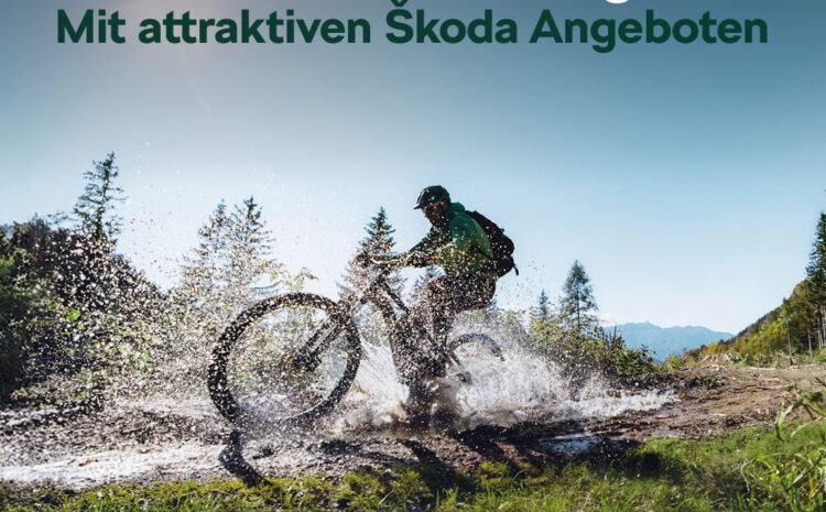  Skoda Frühlings-Service Angebote