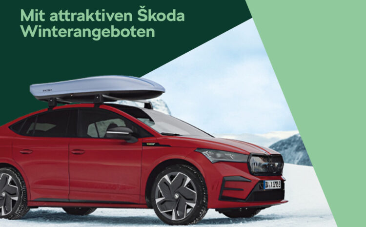  Škoda Winter Service Angebote