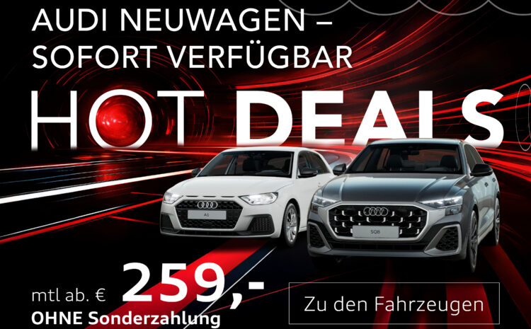  Audi Lageraktion